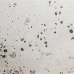 Black Spots On Bathroom Ceiling