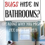 Do Bed Bugs Go In Bathrooms