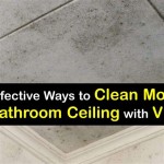 How To Get Mildew Off Bathroom Ceiling