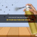 How To Get Rid Of Gnats In Bathroom Drain