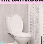 How To Get The Urine Smell Out Of A Bathroom