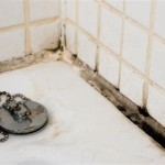 Mold On Grout In Bathroom