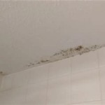 Mold Spots On Ceiling In Bathroom