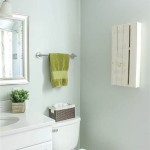 Sea Salt Sherwin Williams Bathroom